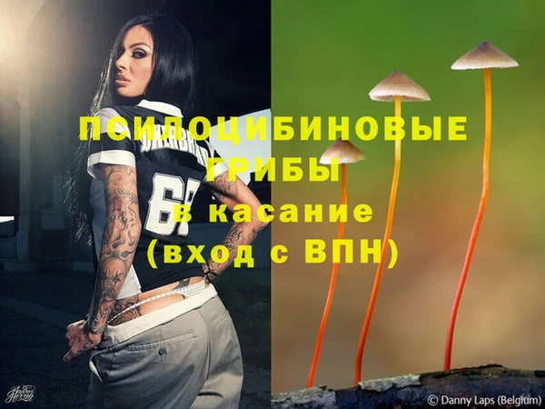 наркотики Медвежьегорск