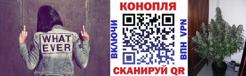 МЕГА онион  Оса  Бошки марихуана конопля  даркнет сайт 